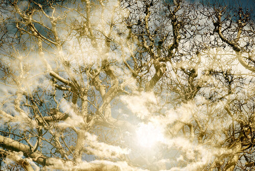 Révélation II by Saima Altunkaya, Photography for Sale on Singulart