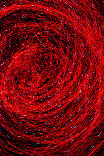 Rouge Éphémère II de Saima Altunkaya, Fotografía a la venta en Singulart