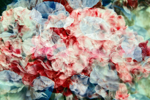 Simone de Saima Altunkaya, Fotografía a la venta en Singulart