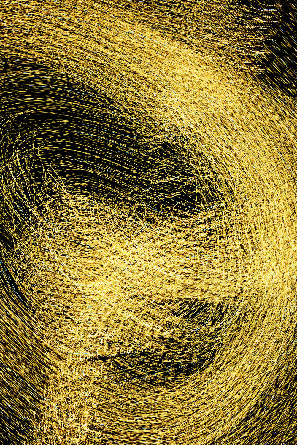 Golden Harmony II Saima Altunkaya
