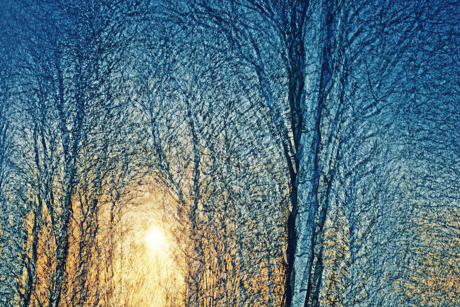 Nightfall Saima Altunkaya