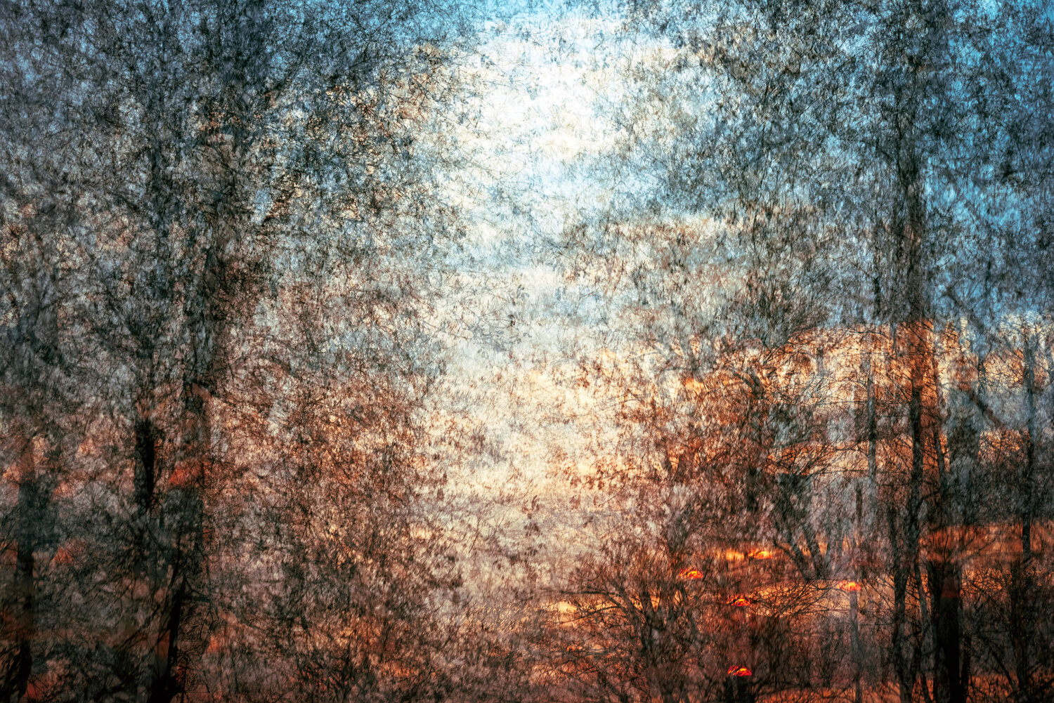The Echo Within III Saima Altunkaya