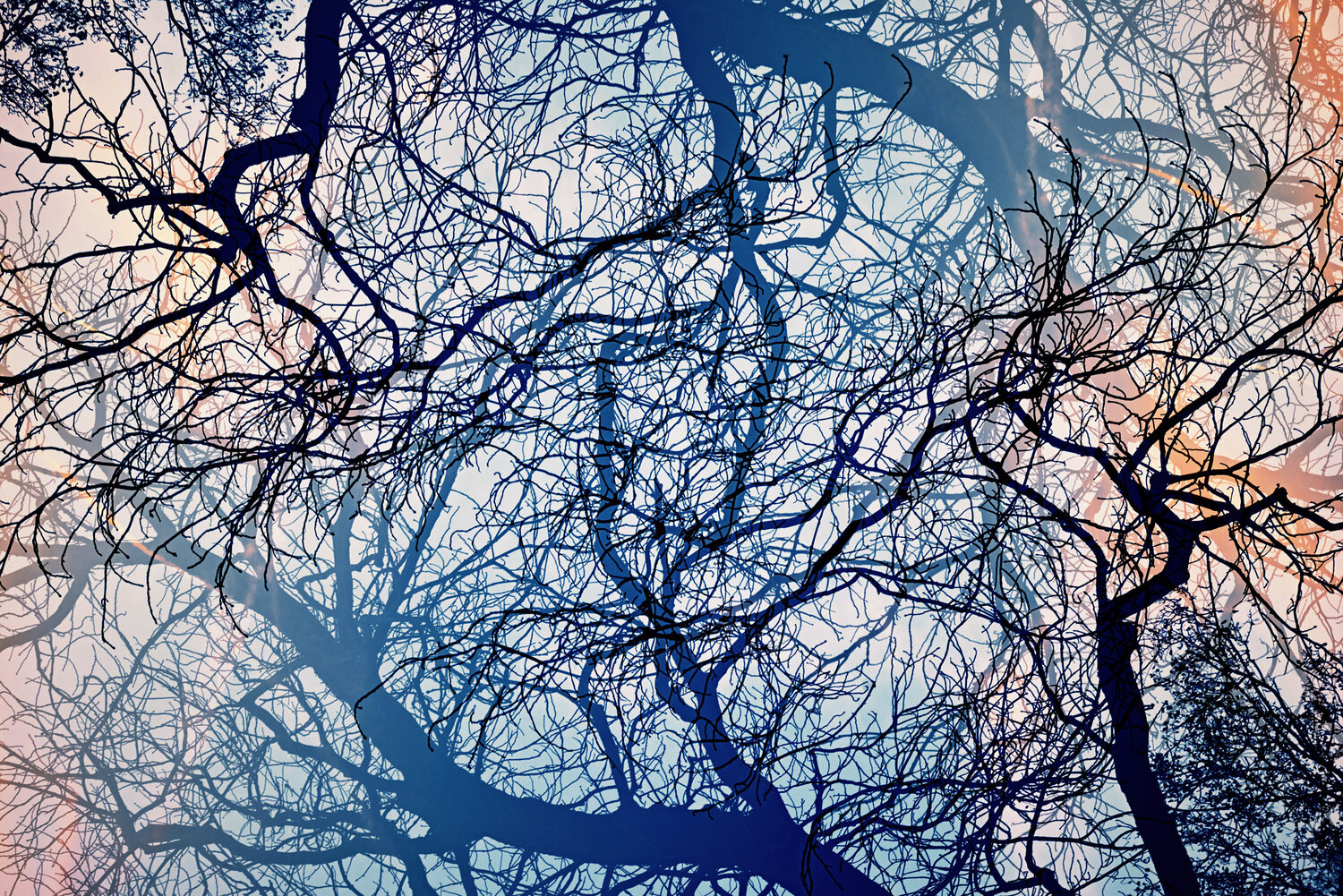 Résonance I Saima Altunkaya