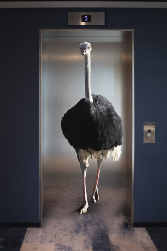 Etage 5 by Elke Zückert, 写真 for Sale on Singulart