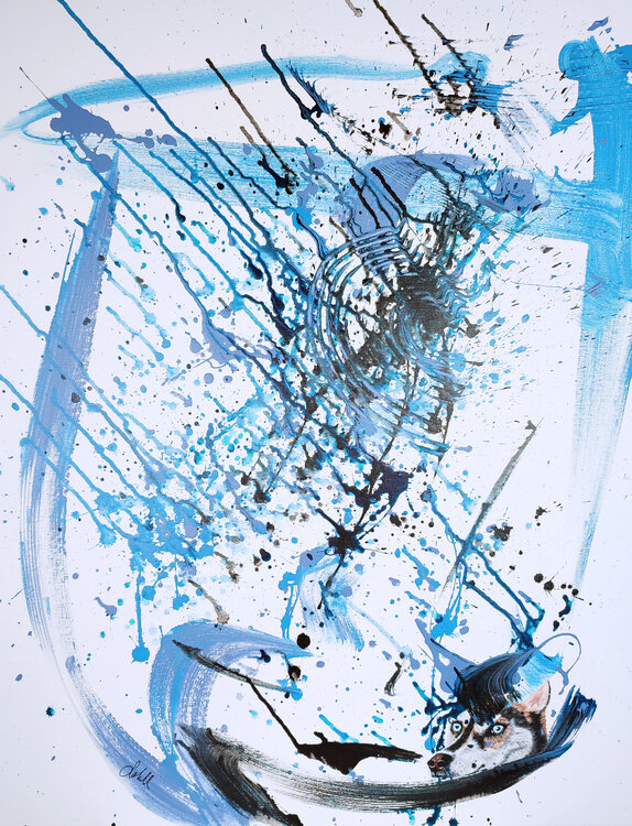 Husky im Schneetreiben Susanne Sokoll