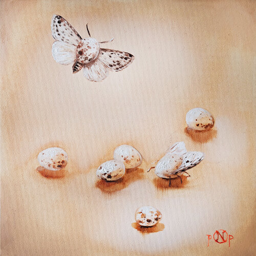 The Birth of Wings de Naty Pop, Pintura a la venta en Singulart