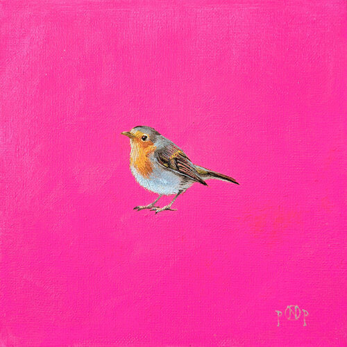 Robin bird de Naty Pop, Pintura a la venta en Singulart