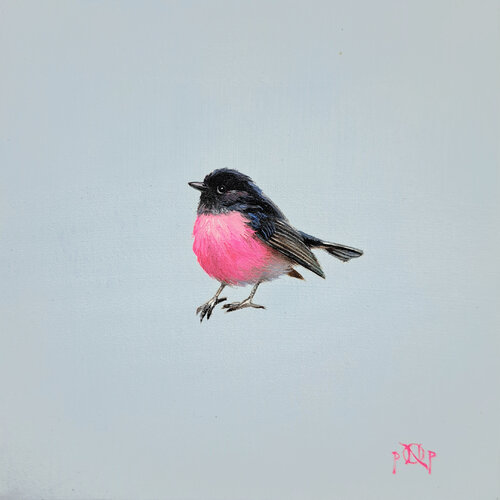Pink Robin by Naty Pop, Painting for Sale on Singulart