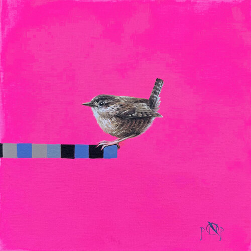 Carolina Wren par Naty Pop, Peinture en vente sur Singulart