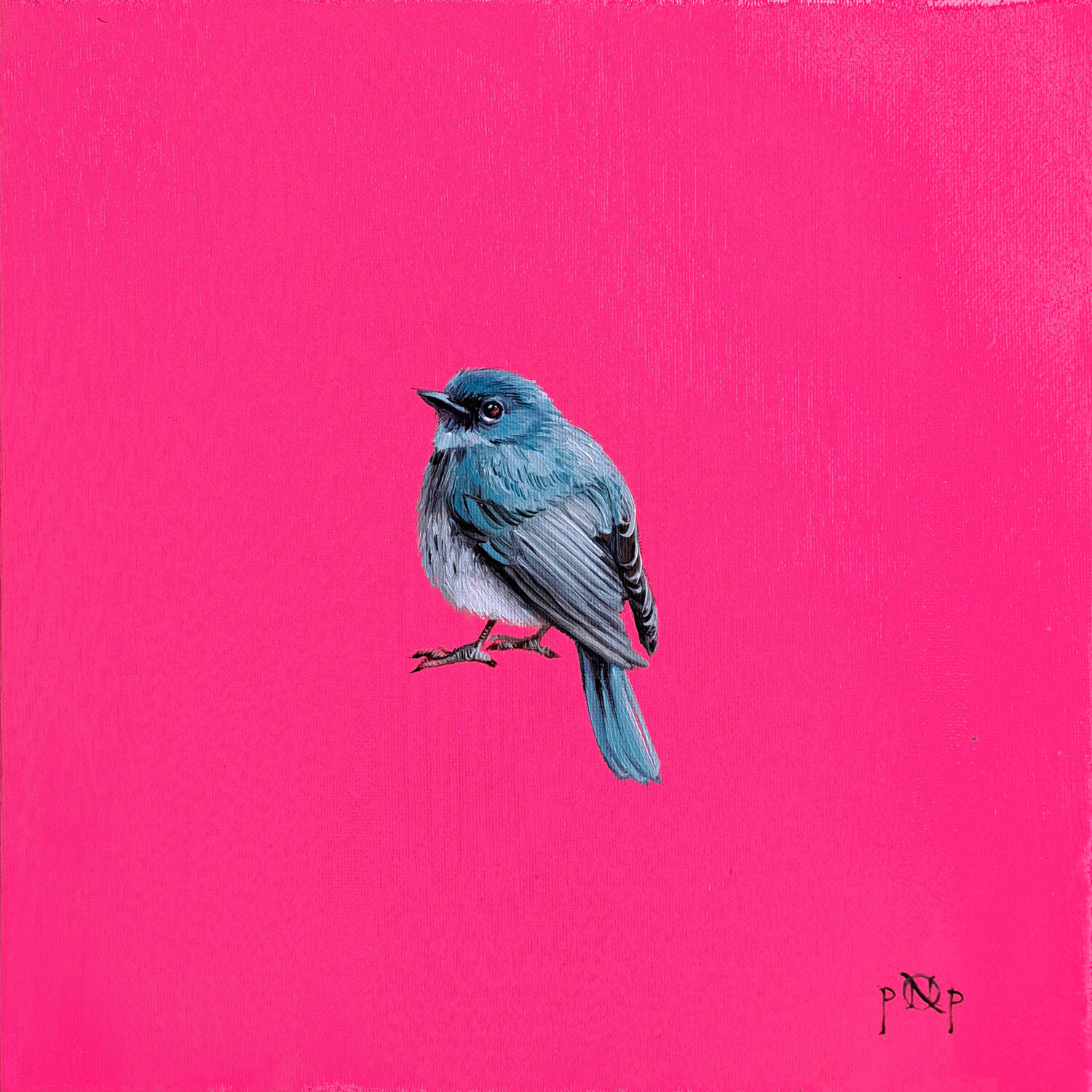 May the Bluebird of Happiness Naty Pop