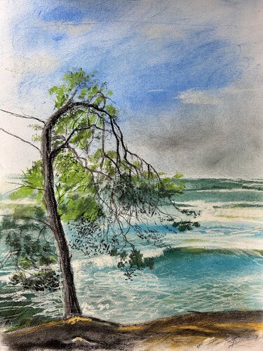 Passeggiata a Punta Licosa - Cilento di Sonja Kalmanfi, Pittura in vendita su Singulart