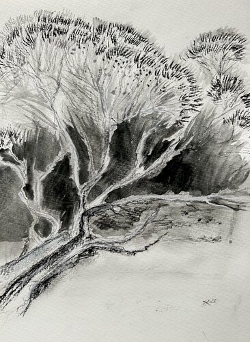 Pineta de Sonja Kalmanfi, Pintura a la venta en Singulart