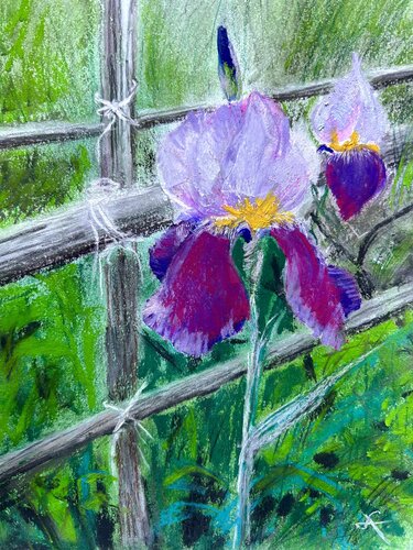 Lilie by Sonja Kalmanfi, Painting for Sale on Singulart
