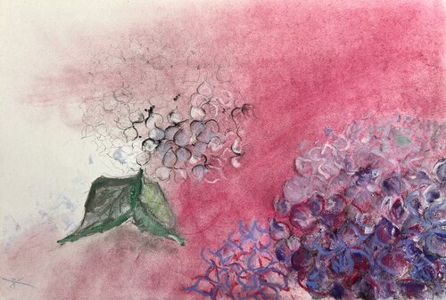 Hydrangeas – The Magic of Colours par Sonja Kalmanfi, Peinture en vente sur Singulart