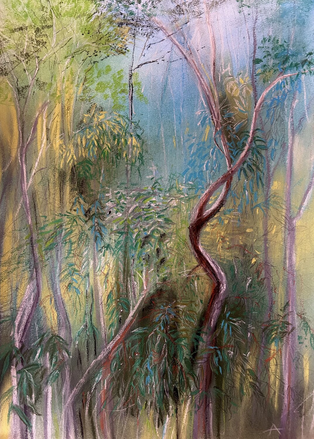 Il sogno dell´eucalipto Sonja Kalmanfi