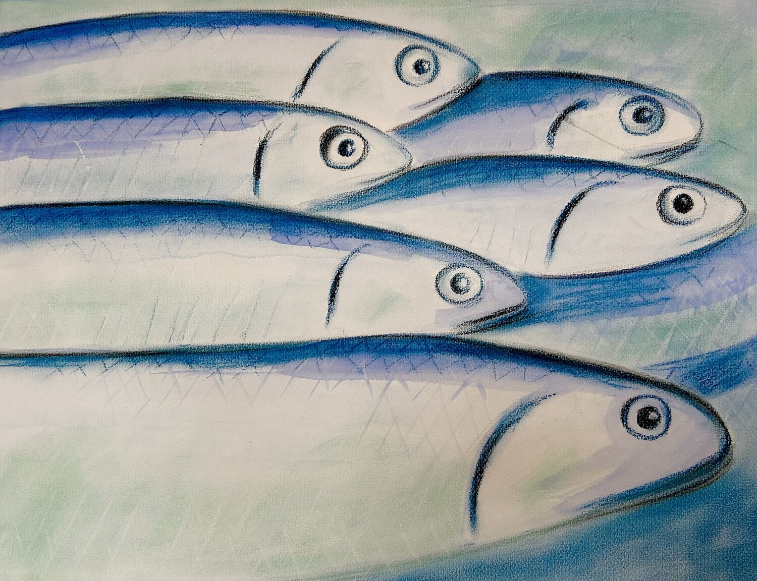 Alici II - Cilento Sonja Kalmanfi