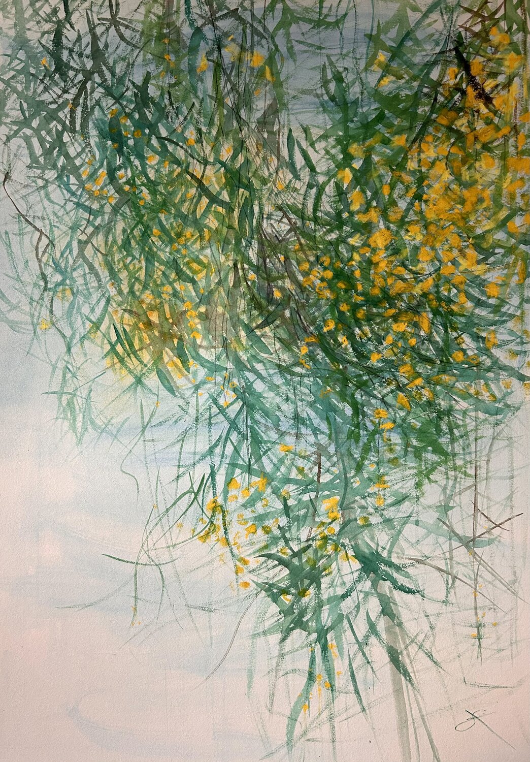 Sotto l'albero di eucalipto Sonja Kalmanfi