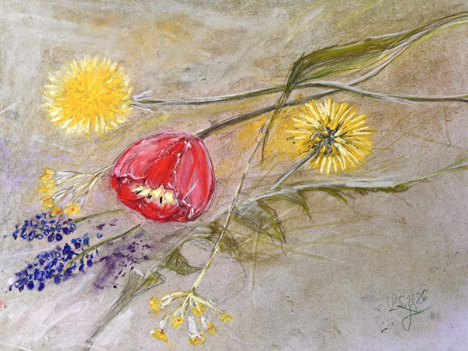 The Magic of May Sonja Kalmanfi