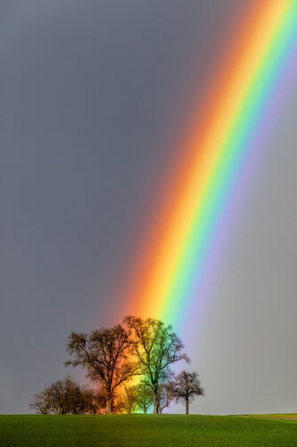 Colors of nature von Christian Majcen, Fotografie kaufen auf Singulart