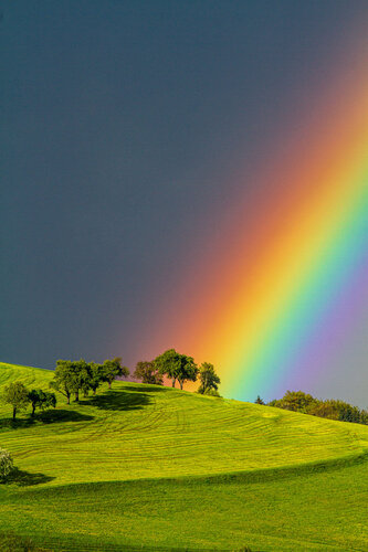 Colors of nature 2 von Christian Majcen, Fotografie kaufen auf Singulart