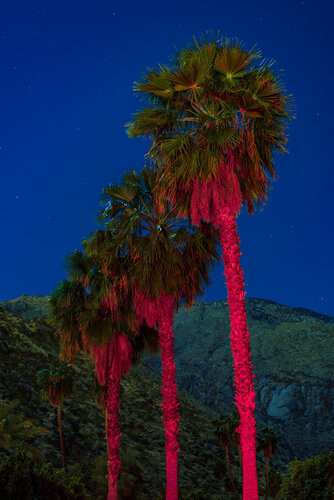 Brake Light Ceremony von Etienne PERRONE, Fotografie kaufen auf Singulart