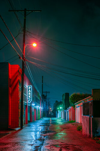 Park by Etienne PERRONE, Photography for Sale on Singulart