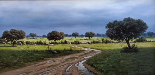 Después de la lluvia de javier Martín romo, Pintura a la venta en Singulart
