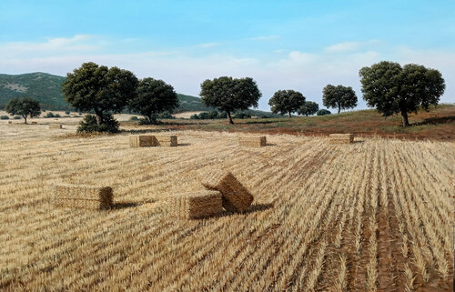 Balas de paja de javier Martín romo, Pintura a la venta en Singulart