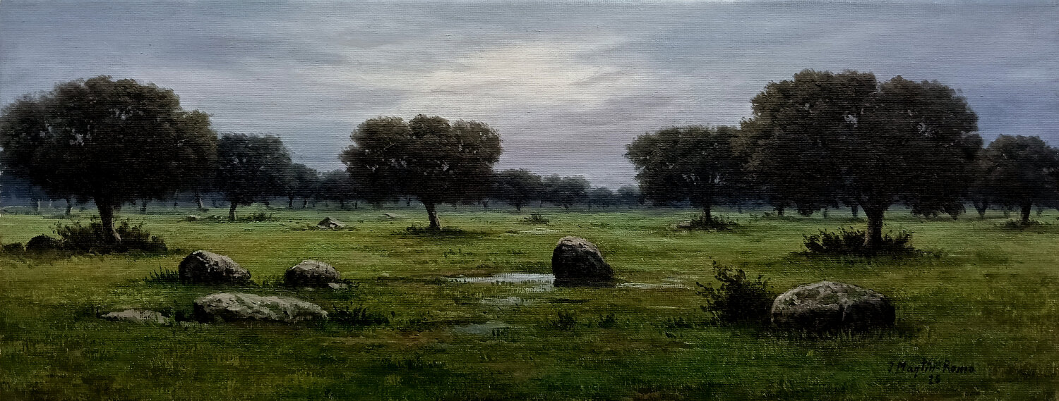 Invierno javier Martín romo