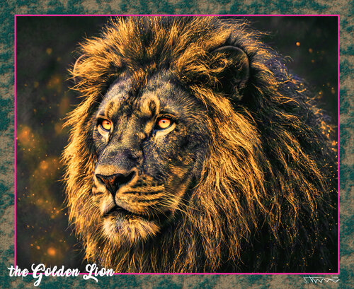 THE GOLDEN LION von JOACHIM ARNO ZIEGENRÜCKER (JOARNO), Druck kaufen auf Singulart
