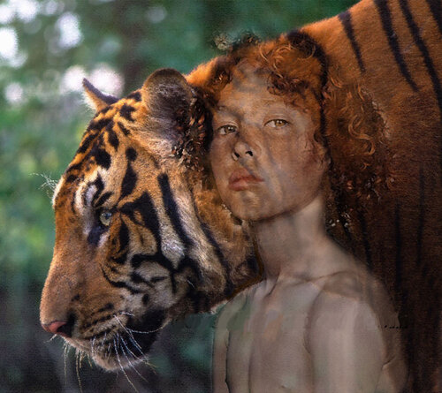 Tiger von David Kingham, Digital kaufen auf Singulart