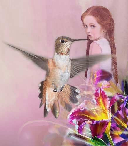 Hummingbird von David Kingham, Digital kaufen auf Singulart