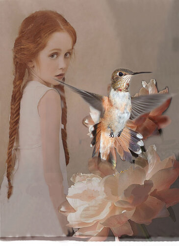 Hummingbird 2 von David Kingham, Digital kaufen auf Singulart