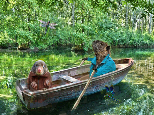 Messing around in boats David Kingham