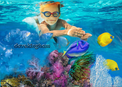 Coral Sea von David Kingham, Digital kaufen auf Singulart