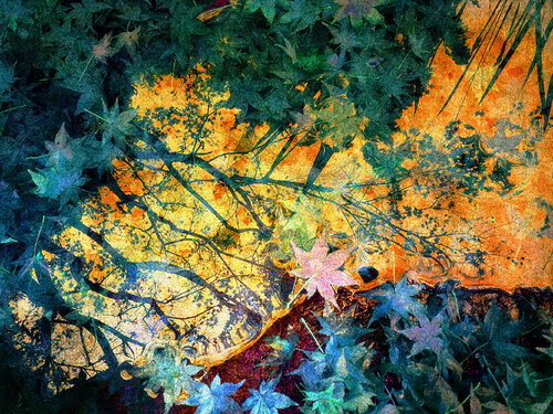 Reflected Glory di Russell Brown, Fotografia in vendita su Singulart