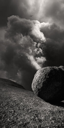 Soaring by Russell Brown, 사진 for Sale on Singulart