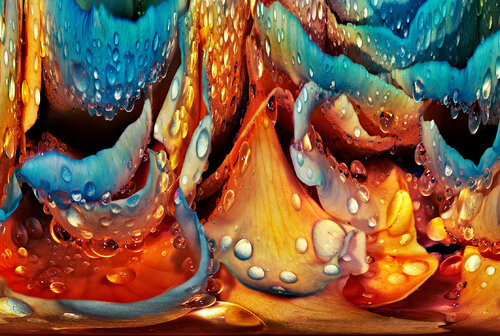 Secret Garden von Russell Brown, Fotografie kaufen auf Singulart