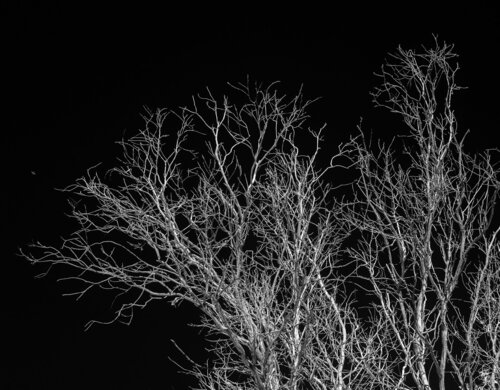 Leaving on a Jet Plane di Russell Brown, Fotografia in vendita su Singulart