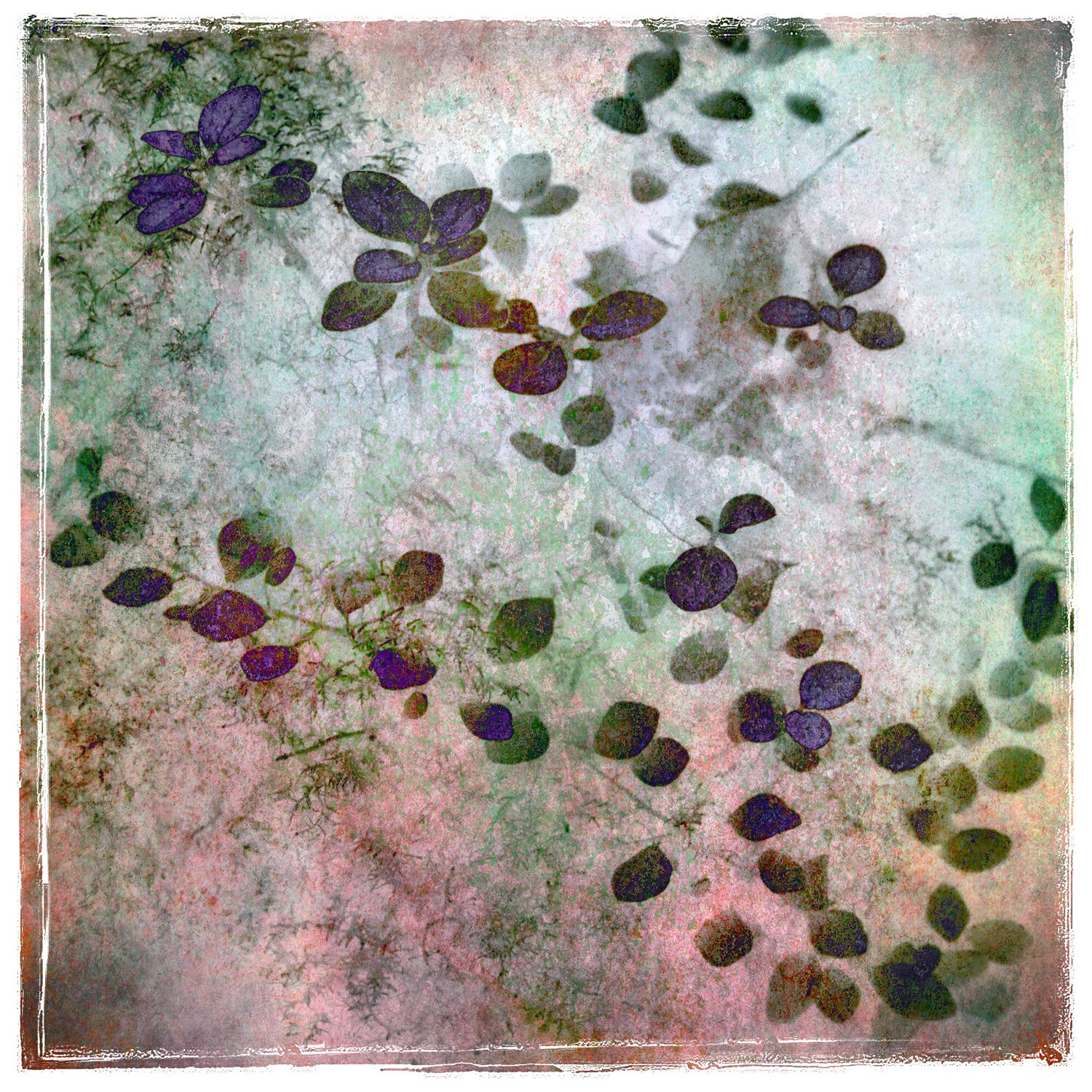 Garden of the Senses Russell Brown Fotografie zu verkaufen