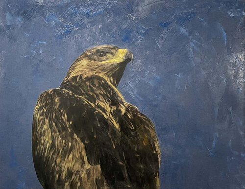 Tawny Eagle by Dennis Stevens, Other Media for Sale on Singulart