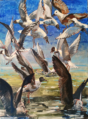 13 Möwen di Sigurd Wendland, Pittura in vendita su Singulart