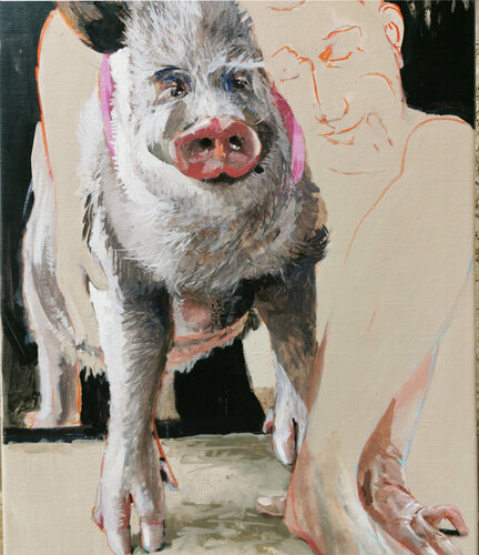 Hausschwein von Sigurd Wendland, Malerei kaufen auf Singulart