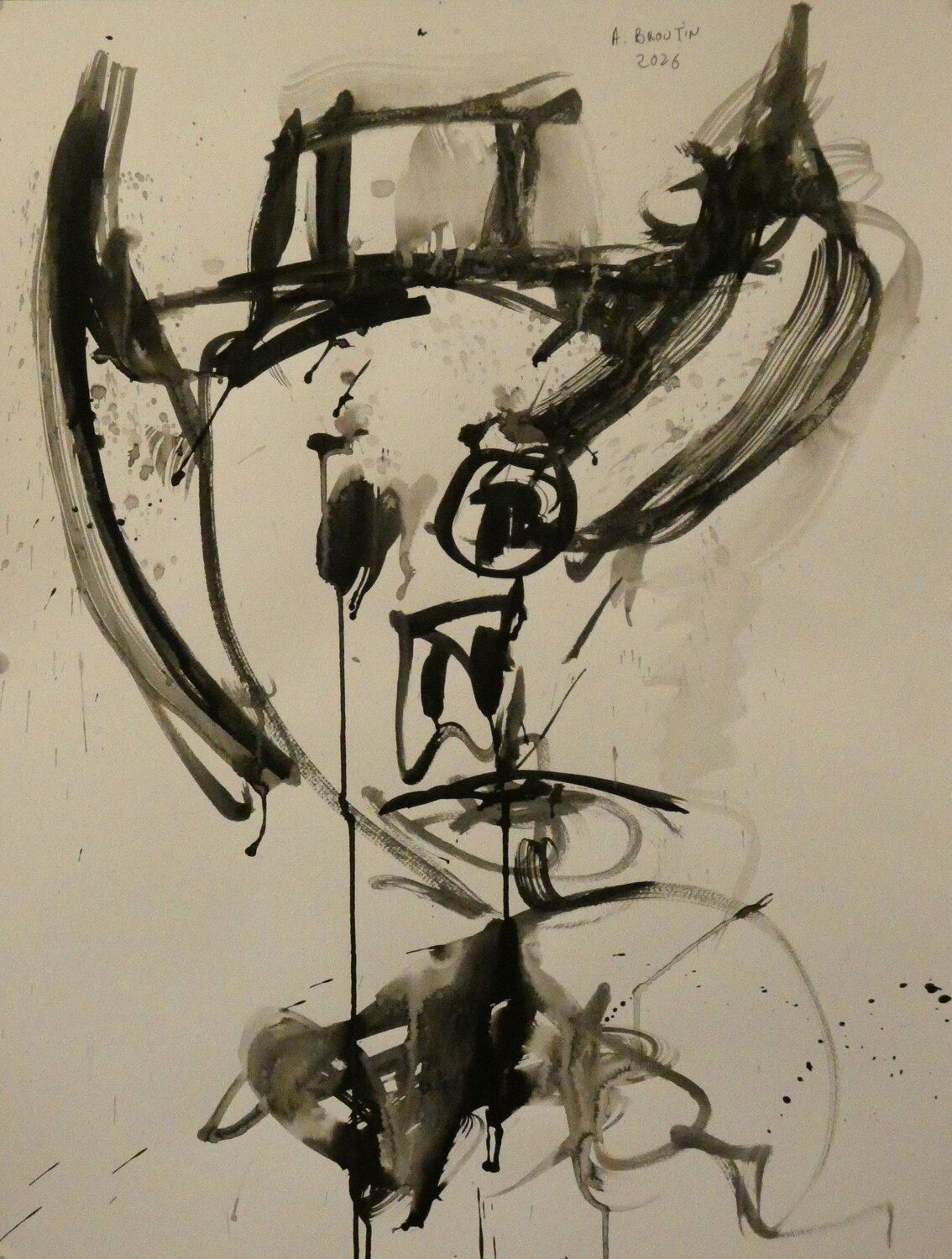 TORO II Arnaud Broutin
