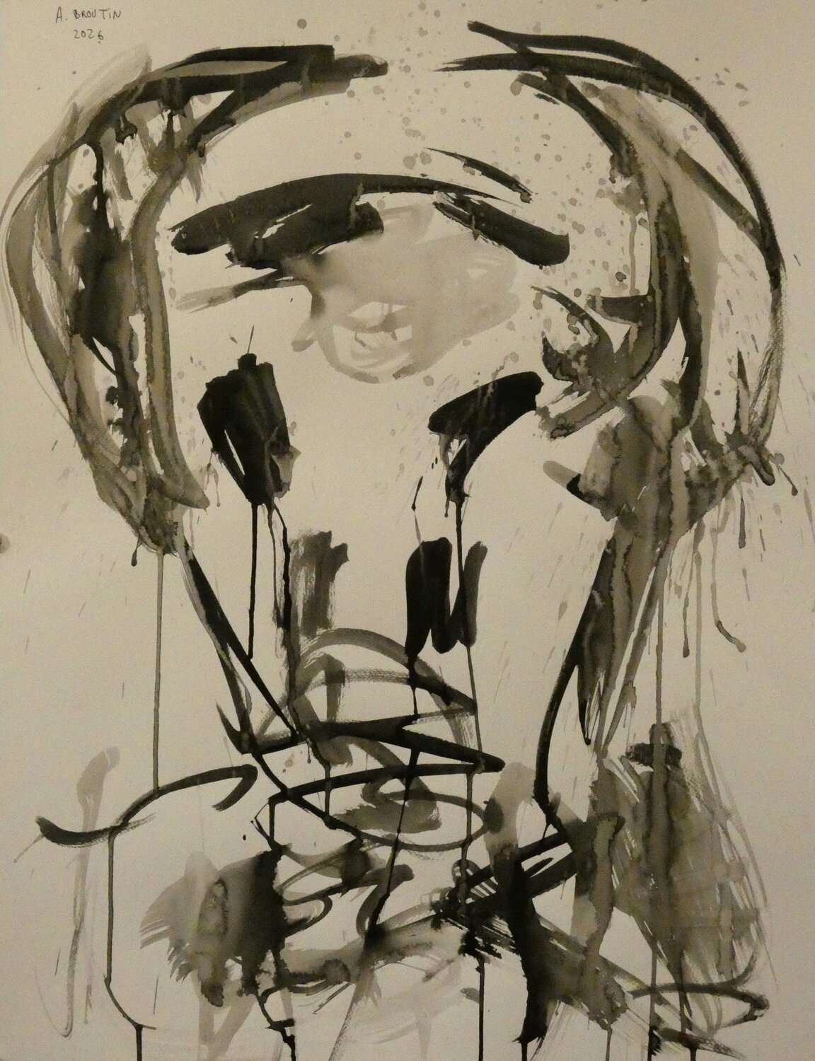 TORO IV Arnaud Broutin