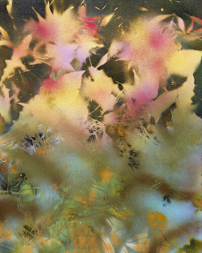 35.14 by Zaccheo Zilioli, Painting for Sale on Singulart