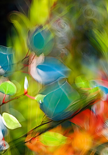 Weeds (9942) revised von Tim Forcade, Fotografie kaufen auf Singulart