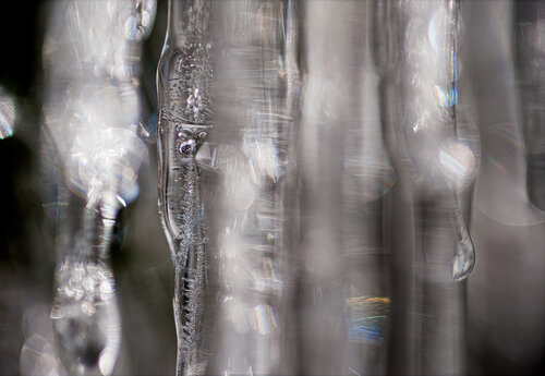 Embedded II von Tim Forcade, Fotografie kaufen auf Singulart