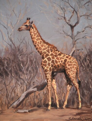 Giraffe von Philipp Schomaker, Malerei kaufen auf Singulart