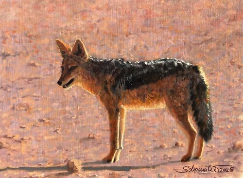 Schakal in der Wüste by Philipp Schomaker, Painting for Sale on Singulart